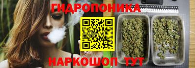 Альфа ПВП Аргун