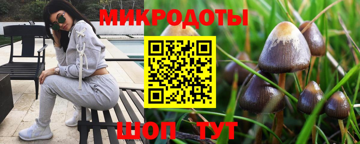 Псилоцибиновые грибы Psilocybine cubensis  Вход с VPN  Баксан 